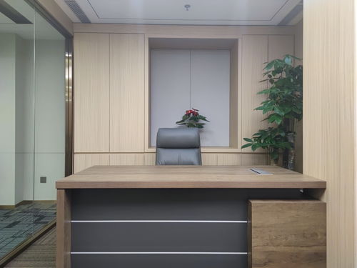 國貿(mào)cbd 國貿(mào)三期 地標建筑 全新裝修帶家具 對電梯