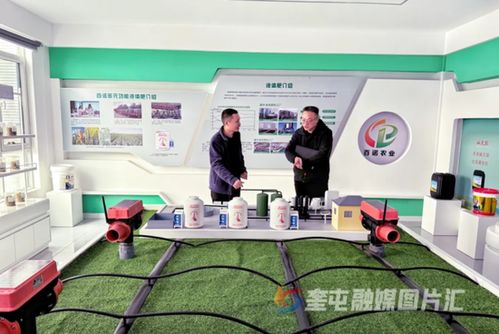 奎屯-獨山子經濟技術開發區 政企銀聯動強鏈補短，技術開發提速園區高質量發展